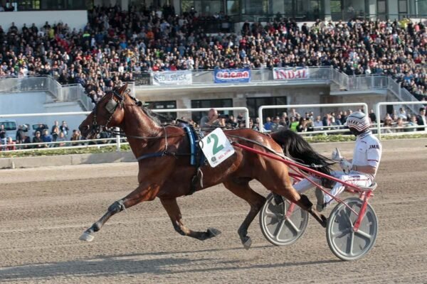 Covid-19, rigido protocollo per Lotteria di Agnano