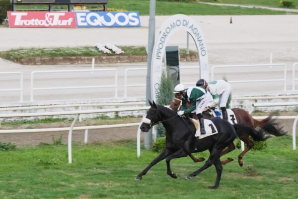 Aldrodovar vince nel premio Unire di galoppo a Napoli