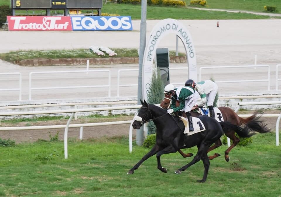 Aldrodovar vince nel premio Unire di galoppo a Napoli