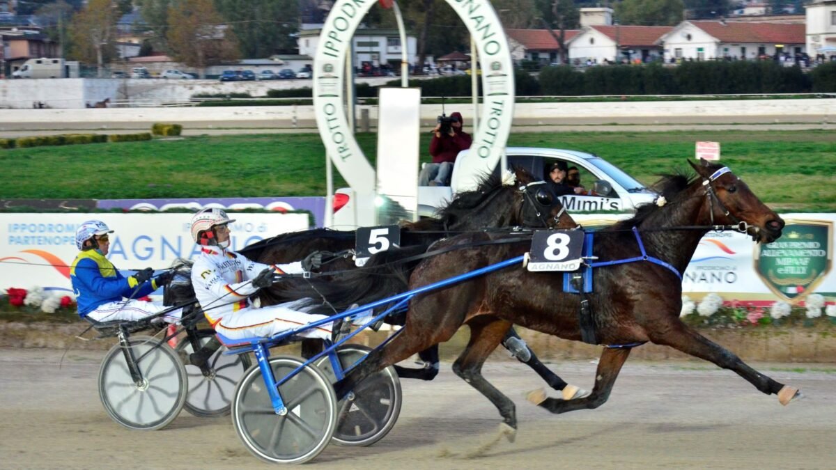 Ippica, ad Agnano domenica i gp in rosa