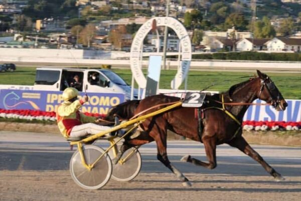Royal Mares, vince la francese Bahia Quesnot