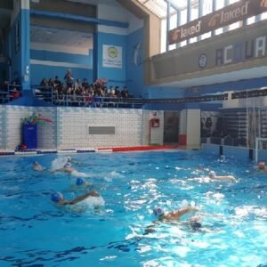Sport