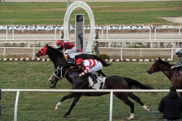 Ippica, sabato di grande galoppo ad Agnano