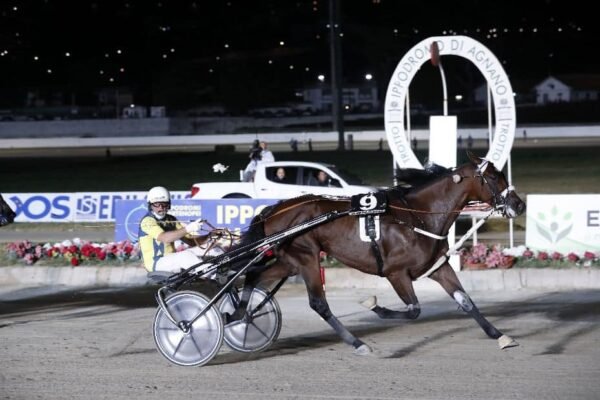 Ippica, domenica grande trotto ad Agnano con il Regione Campania