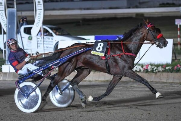 Ippica, venerdì il Road to Campili: preparazione per il “Freccia d’Europa”