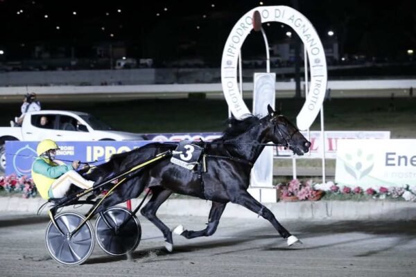 Ippica., sabato ad Agnano il Gran Premio Freccia d’Europa
