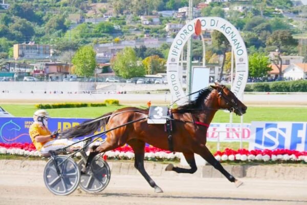 Alrajah One vince il Freccia d’Europa con record