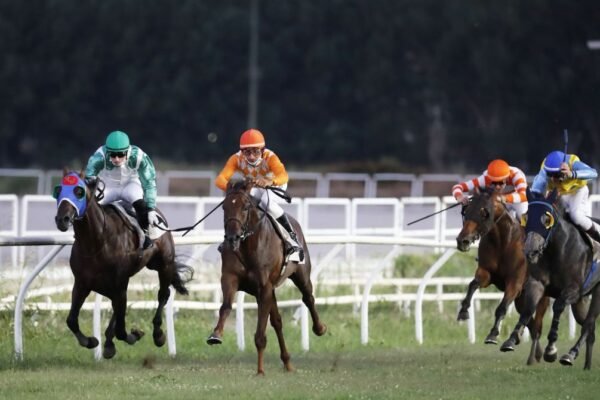 Ippica, sabato galoppo in notturna ad Agnano