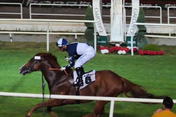 The Conqueror vince di Città di Napoli di galoppo ad Agnano