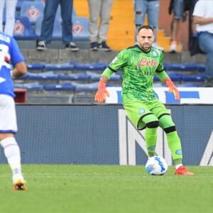 Ospina