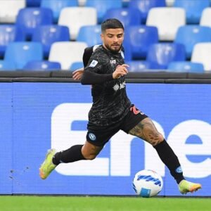 Insigne