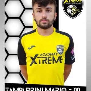 Tamburini