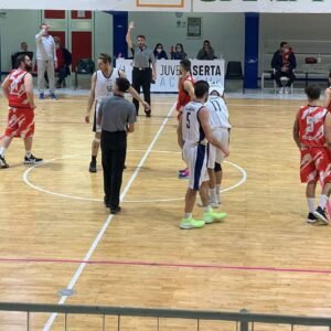 Centro Ester basket