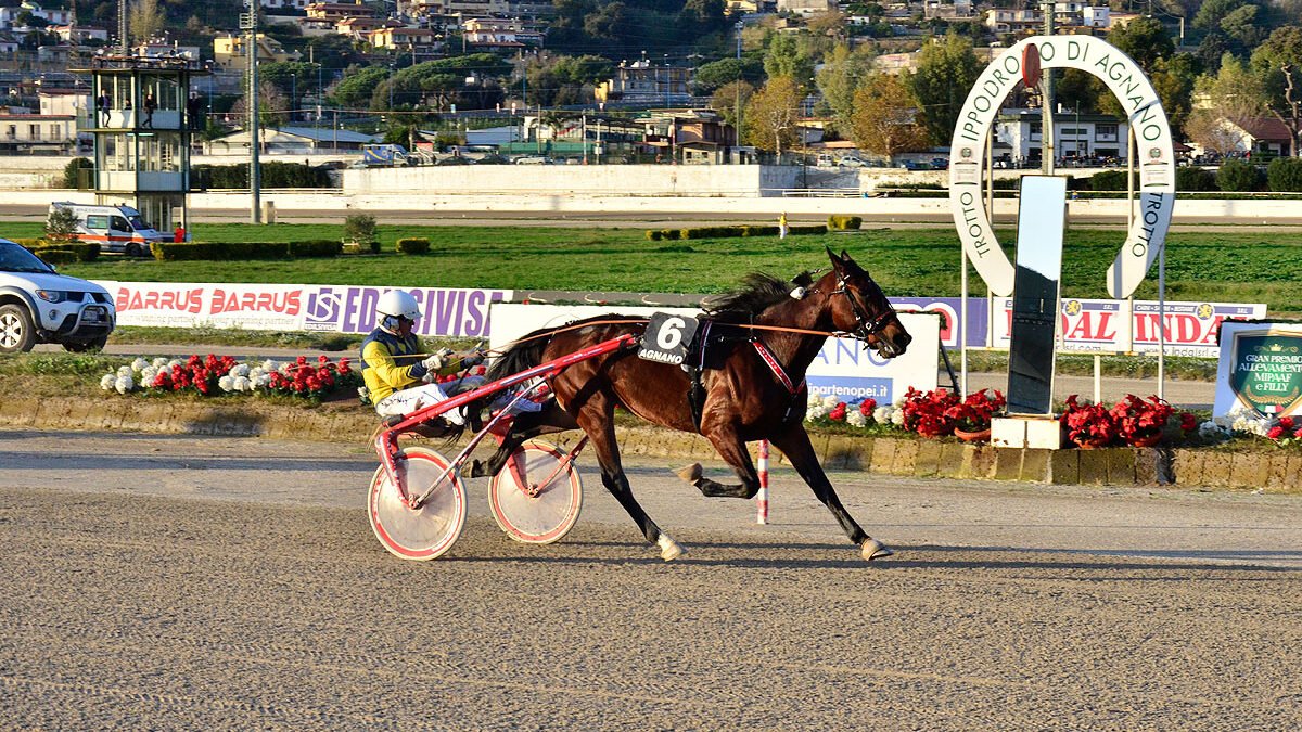 Agnano trotto, domani cinque gran premi su sette corse