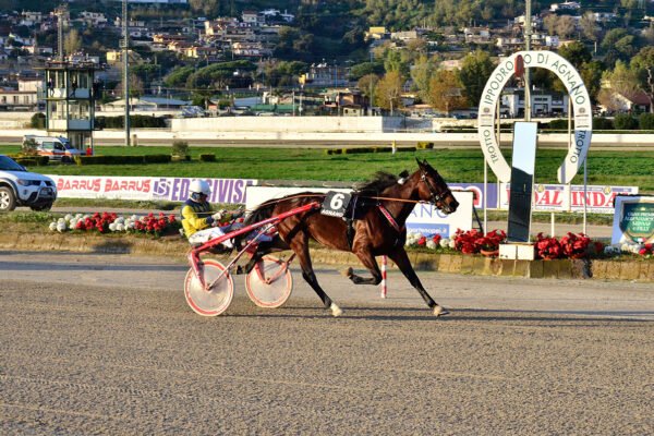 Agnano trotto, domani cinque gran premi su sette corse
