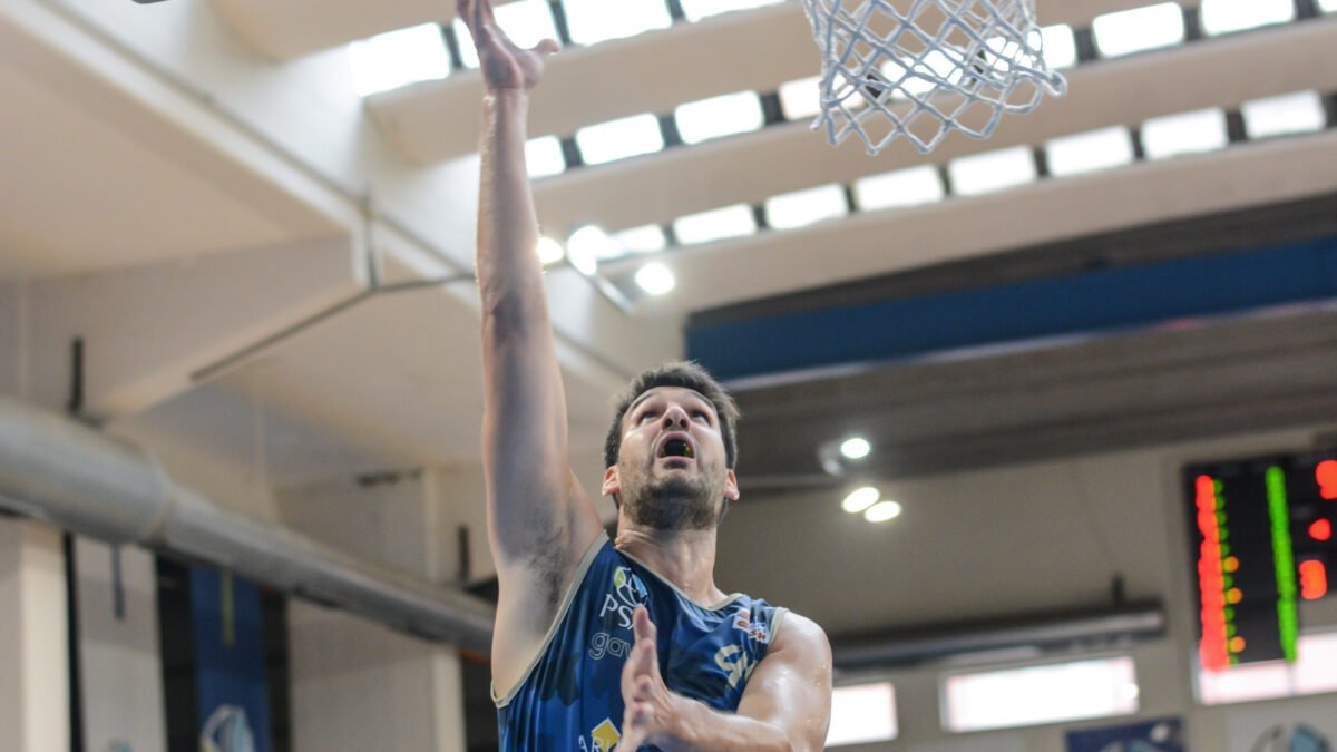 Geko, crollo a Molfetta: niente impresa al Palapoli