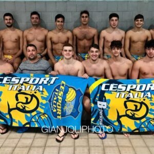 Cesport