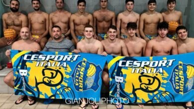 Cesport