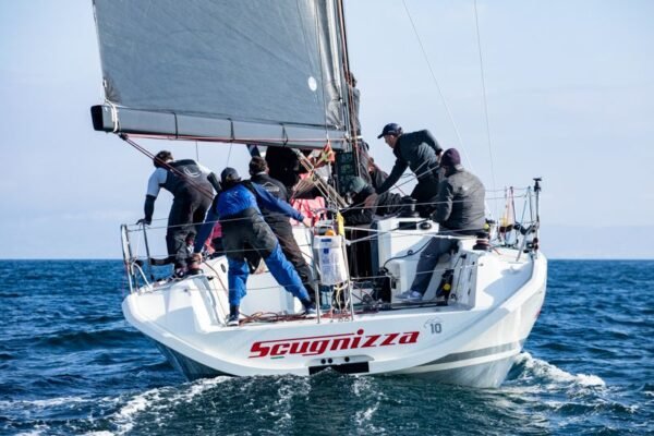 Invernale di Napoli, settima tappa tra spettacolo e delfini