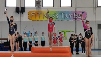 Ginnastica artistica