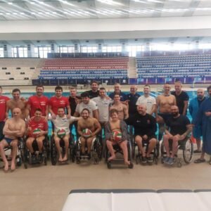 Expert Napoli Lions