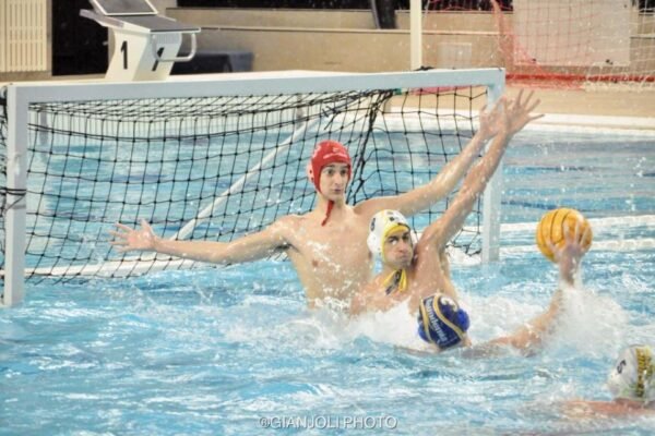 La Cesport non sa più vincere, alla Scandone passa il Bari